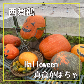 ハローウィンの季節になると突如現るおばけかぼちゃ/京都府舞鶴市